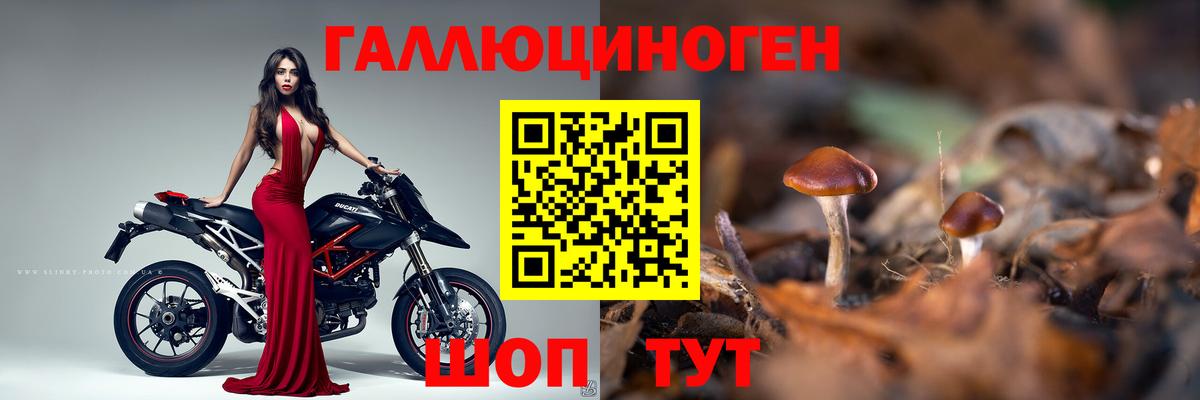 Галлюциногенные грибы мицелий Фрязино