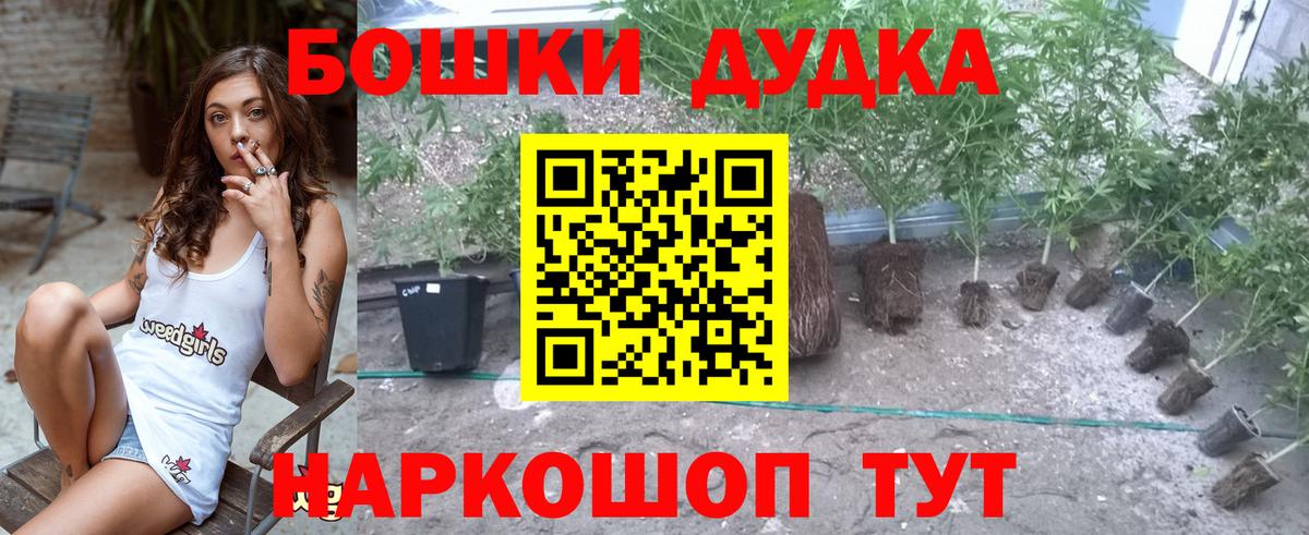 Фрязино  Бошки Шишки индика  Вход с VPN  Бошки марихуана Amnesia 